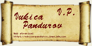 Vukica Pandurov vizit kartica
